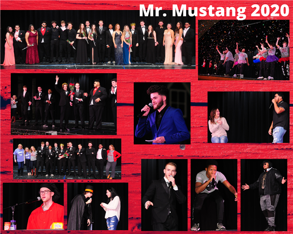 Mr. Mustang 2020 
